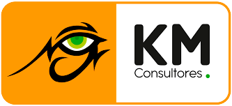 KM consultores